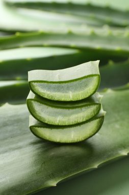 Yeşil arkaplanda taze aloe vera parçaları, yakın plan