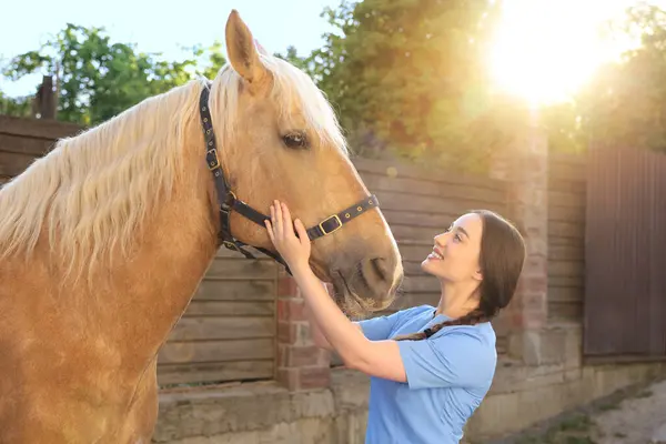 Veterinarian with adorable horse outdoors. Pet care
