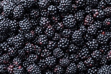 Arka plan olarak pek çok lezzetli böğürtlen, yakın plan