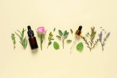 Gerekli yağ şişesi, pipet, farklı otlar ve bej arka planda gül çiçeği.