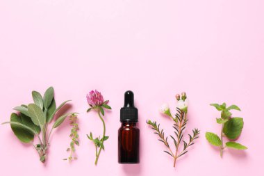 Bir şişe gerekli yağ, farklı otlar ve pembe arka planda çiçekler, düzlük. Metin için boşluk