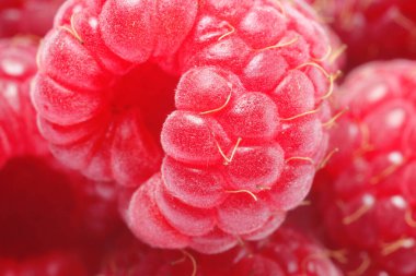 Arka plan olarak taze olgun ahududu, makro manzara. Taze meyve.