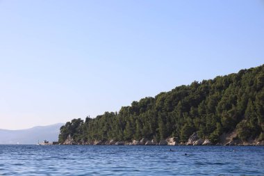 Ağaçlarla kaplı güzel deniz ve dağ manzarası.