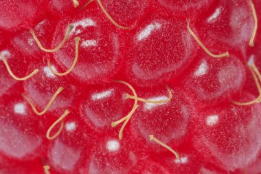 Arka plan olarak olgun ahududu dokusu, makro görünüm. Taze meyve.