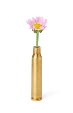 Mermi kutusundaki güzel çiçek beyaza izole edilmiş.