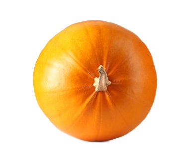 Bir taze turuncu balkabağı beyaza izole edilmiş.