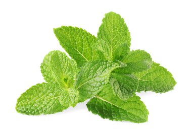 Taze yeşil nane yaprakları beyazda izole.