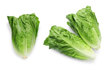 Taze yeşil romaine marulu beyaza izole edilmiş, üst manzara.