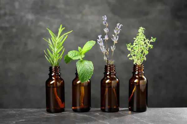 Bottles with essential oils and plants on grey textured table