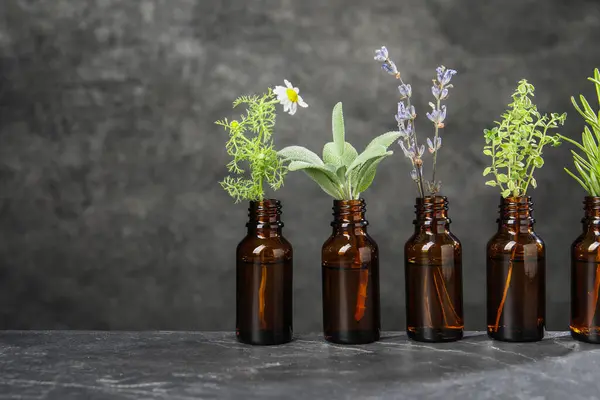 Bottles with essential oils and plants on grey textured table. Space for text