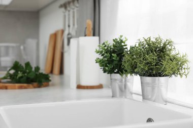 Mutfaktaki tezgahta farklı saksıda suni bitkiler var, metin için de yer var. Ev dekoru