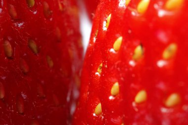 Arka plan olarak taze olgun çilekler, makro manzara. Taze meyve.