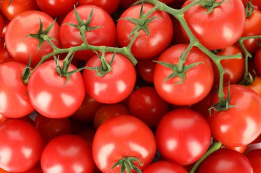 Arka plan olarak taze kiraz domatesleri, üst görünüm