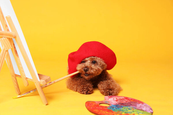 Cute Maltipoo in red beret holding brush near easel with canvas and palette on orange background. Dog artist