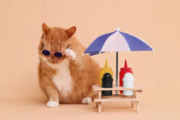 Cute ginger cat in stylish sunglasses and mini picnic table with umbrella on beige background