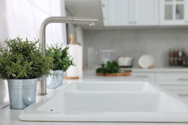 Mutfaktaki tezgahta farklı saksıda suni bitkiler var, metin için de yer var. Ev dekoru