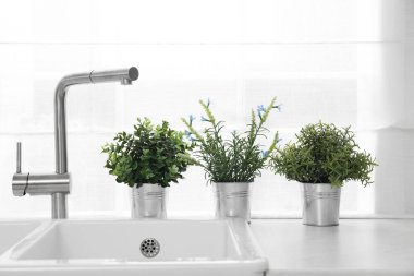 Mutfaktaki tezgahta farklı saksıda suni bitkiler var. Ev dekoru