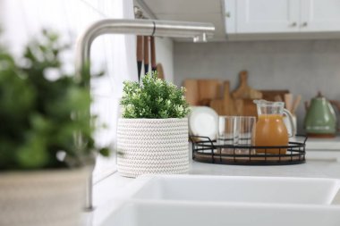 Mutfaktaki tezgahta farklı saksıda suni bitkiler var. Ev dekoru