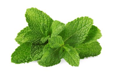 Taze yeşil nane yaprakları beyazda izole.