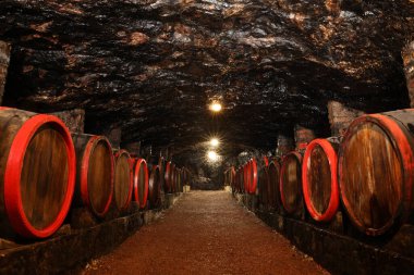 Bene, Ukrayna - 23 Haziran 2023: Kilerde alkollü içecekler bulunan birçok tahta fıçı