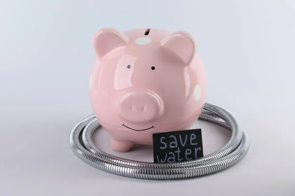 Water scarcity concept. Card with phrase Save Water, piggy bank and shower hose isolated on white