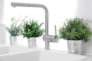 Mutfaktaki tezgahta farklı saksıda suni bitkiler var. Ev dekoru