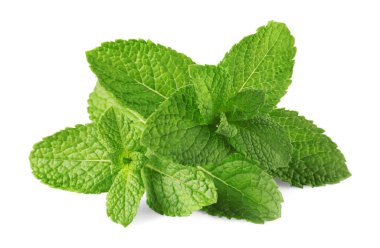 Taze yeşil nane yaprakları beyazda izole.