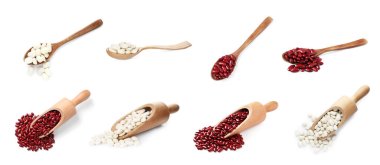 Beyaza izole edilmiş farklı çiğ fasulyeler. Üst ve yan görünümlü koleksiyon