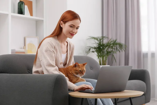 Woman with cat working on sofa at home