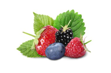 Farklı olgun böğürtlenler ve yeşil yapraklar beyaz üzerine izole edilmiş.