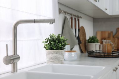 Mutfaktaki tezgahta farklı saksıda suni bitkiler var. Ev dekoru