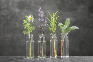 Temel yağlı şişeler ve gri desenli masa üzerindeki bitkiler.