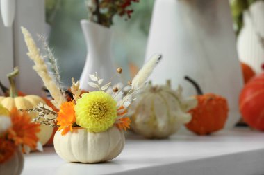 Pencere pervazında sonbahar çiçekli küçük balkabağı, seçici odak