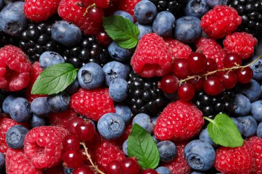 Arka planda yeşil yapraklı taze olgun böğürtlenler var.