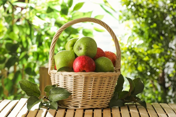 Different wet apples in wicker basket and green leaves on wooden table outdoors