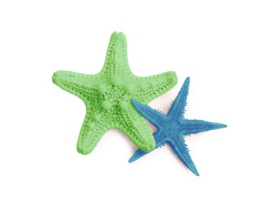 İki farklı deniz yıldızı beyaz renkte izole edilmiş.