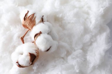 Temiz pamuk üzerinde yumuşak çiçekler, üst manzara. Metin için boşluk