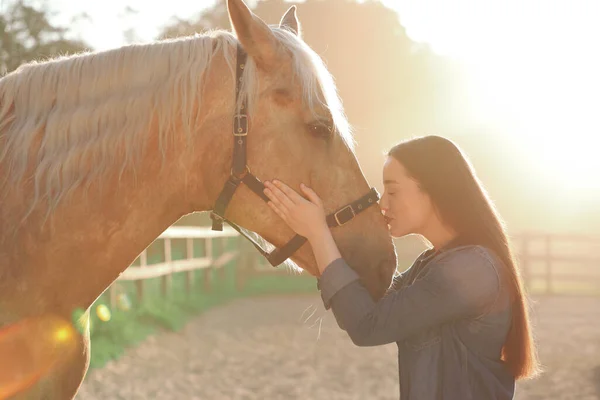 晴れた日には美しい馬の屋外で美しい女性 素敵な家畜ペット — ストック写真