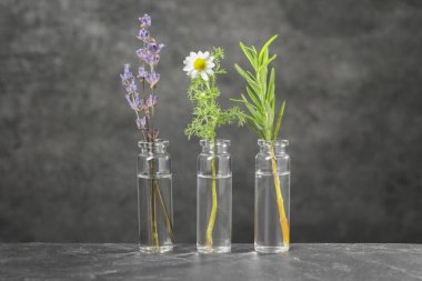 Temel yağlı şişeler ve gri desenli masa üzerindeki bitkiler.