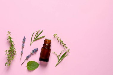 Bir şişe gerekli yağ, farklı otlar ve pembe arka planda çiçekler, düzlük. Metin için boşluk