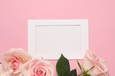 Boş çerçeve ve pembe arka planda güzel güller, üst manzara. Metin için boşluk