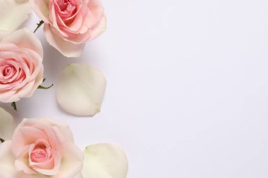 Beyaz arka planda güzel güller ve yapraklar, üst manzara. Metin için boşluk