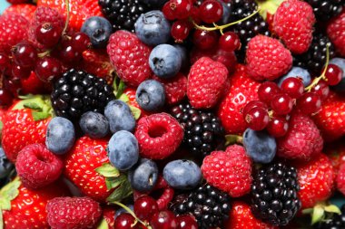 Arka plan olarak birçok farklı olgun böğürtlen, üst görünüm