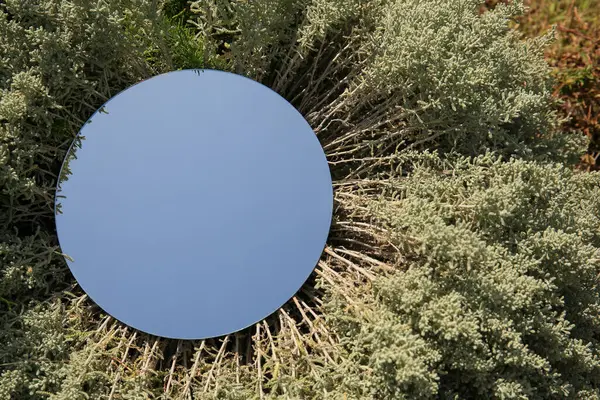 Στρογγυλός Καθρέφτης Μεταξύ Των Φυτών Αντανακλώντας Γαλάζιο Ουρανό Την Ηλιόλουστη — Φωτογραφία Αρχείου