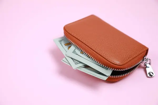 Stylish brown leather purse with dollar banknotes on pink background, closeup. Space for text