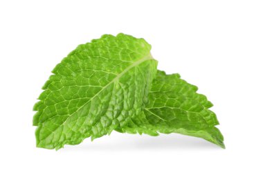 Taze yeşil nane yaprakları beyazda izole.