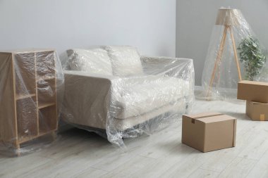 Modern mobilya, plastik film kaplı ev bitkisi ve açık gri duvarın yanındaki kutular.