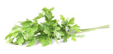 Beyaz maydanozlu taze maydanoz yaprakları.