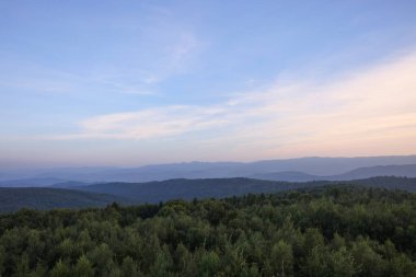 Gökyüzünün altındaki ormanla kaplı dağların resimli görüntüsü.