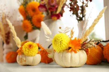 Küçük balkabaklarıyla kompozisyonu, güzel çiçekleri ve beyaz pencere pervazında sivri dikenleri, kapalı.